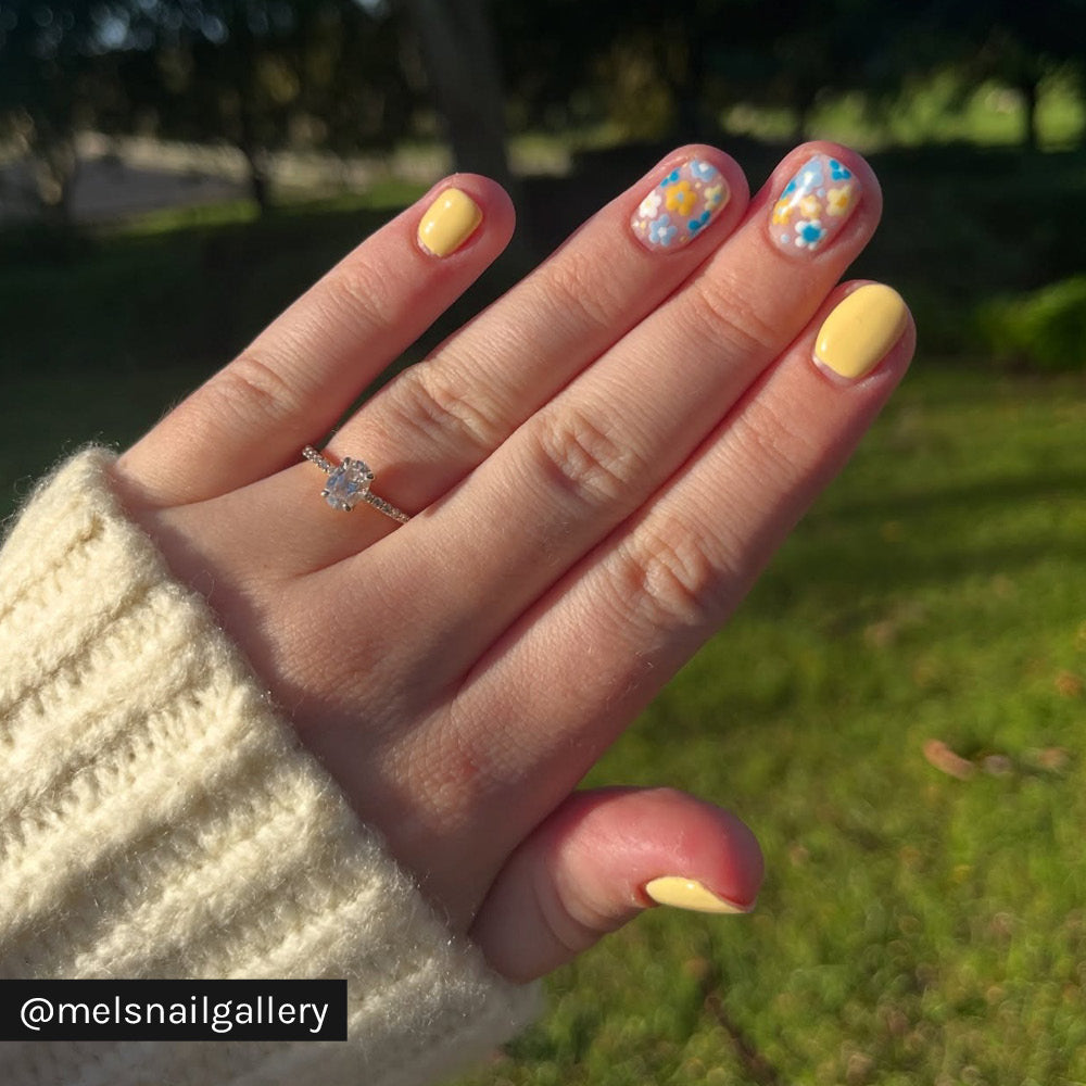 Gelous Custard Cream - Instagram Photo
