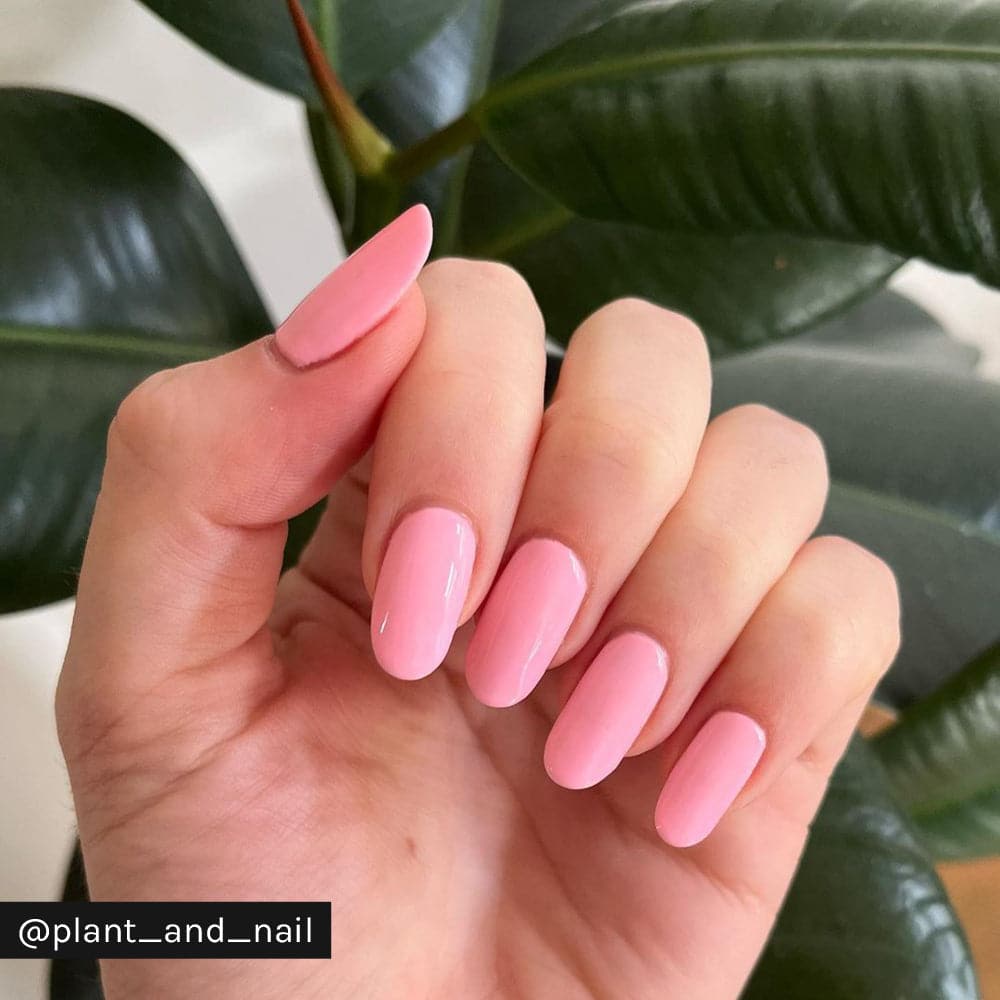 Gelous Pink Lady gel nail polish - Instagram Photo