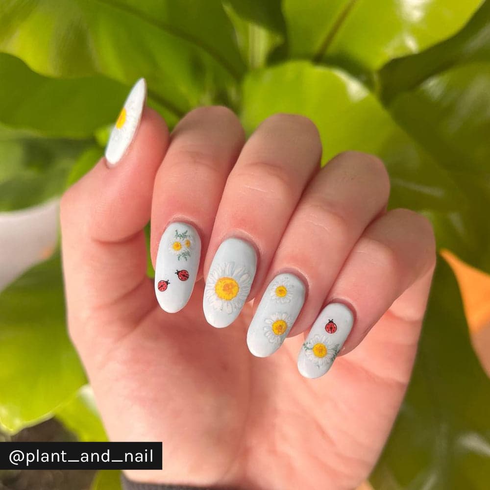 Gelous Daisies Nail Stickers - Instagram Photo