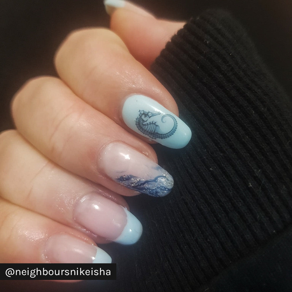 Gelous Black Seashells  Water Nail Transfers product photo - photographed in New Zealand